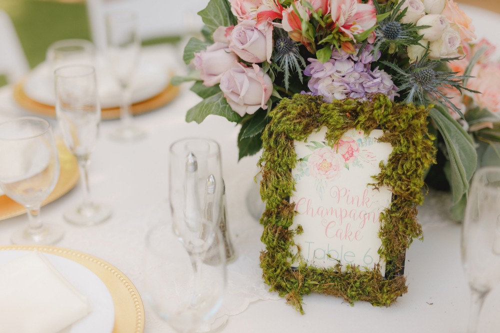 wedding-submission-from-jaclyn-bishop