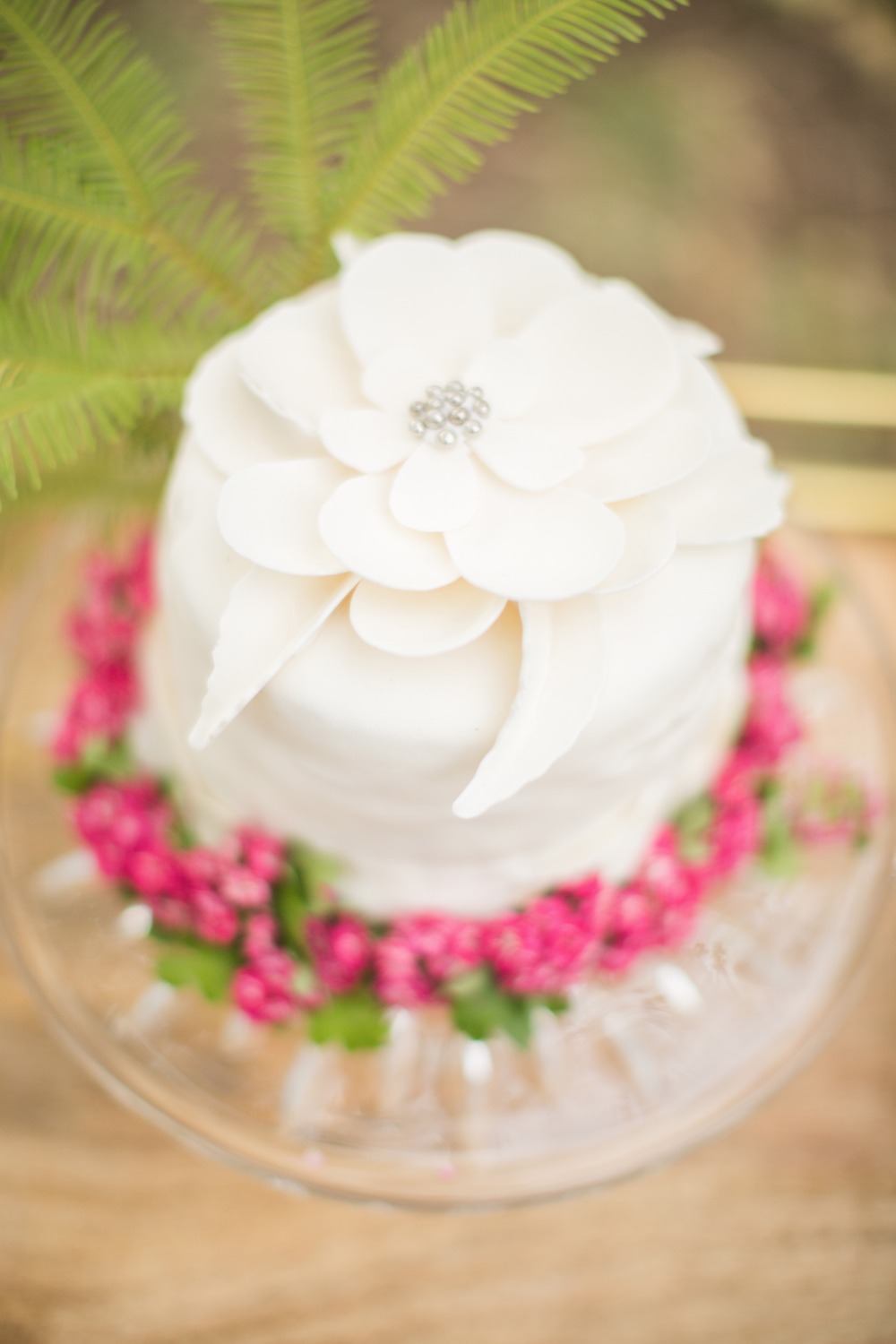wedding-submission-from-jane-alexandra