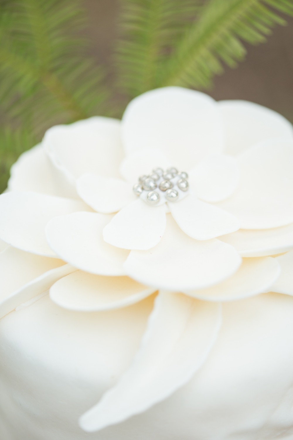 wedding-submission-from-jane-alexandra