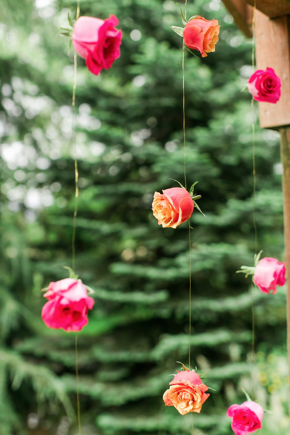 wedding-submission-from-little-wedding