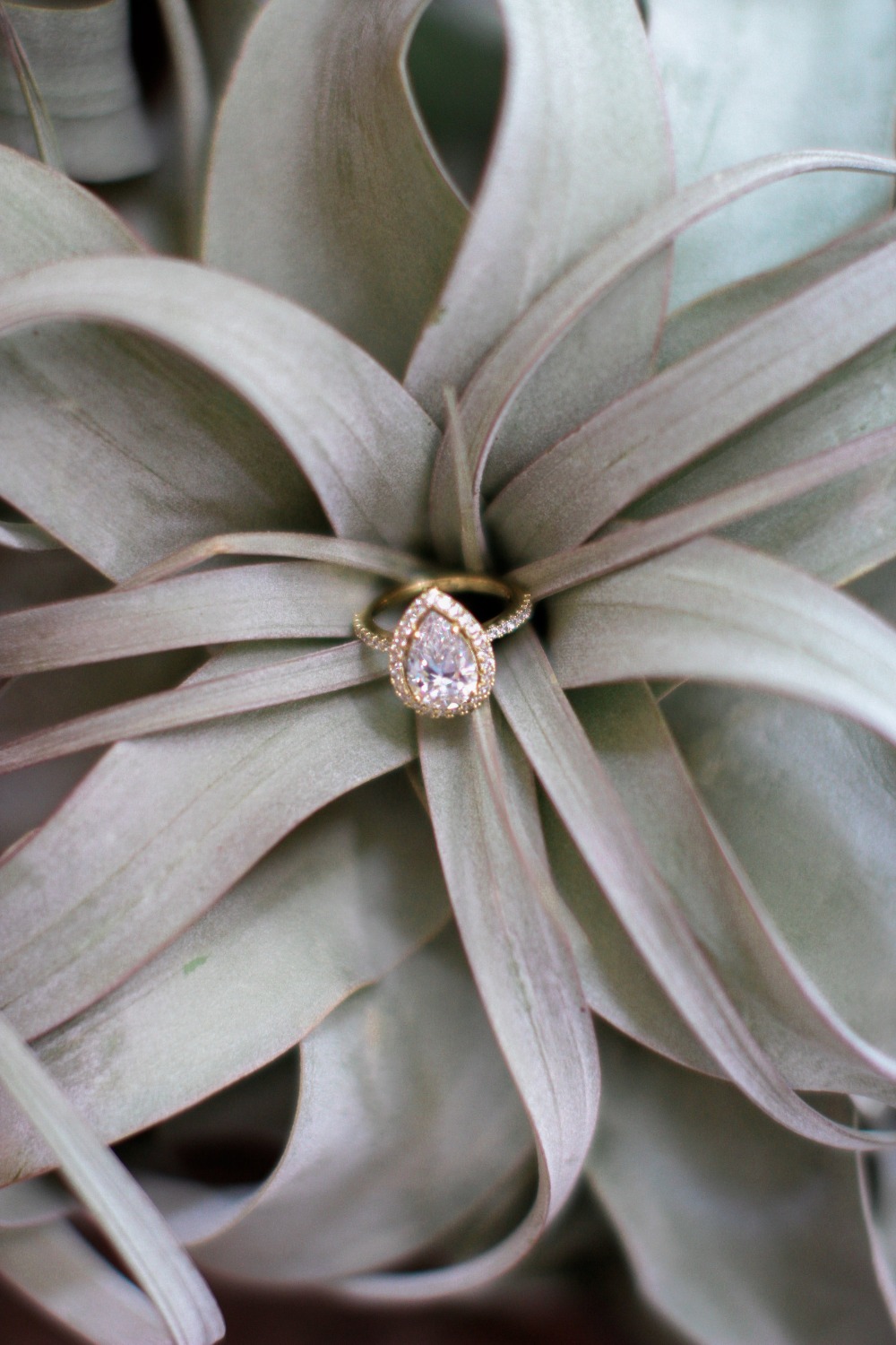 wedding-submission-from-olinda