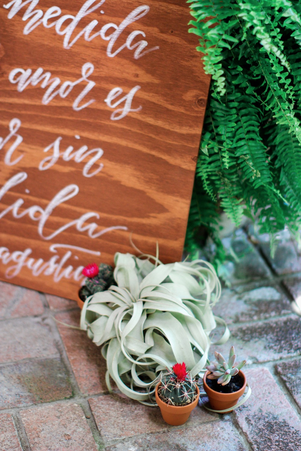 wedding-submission-from-olinda