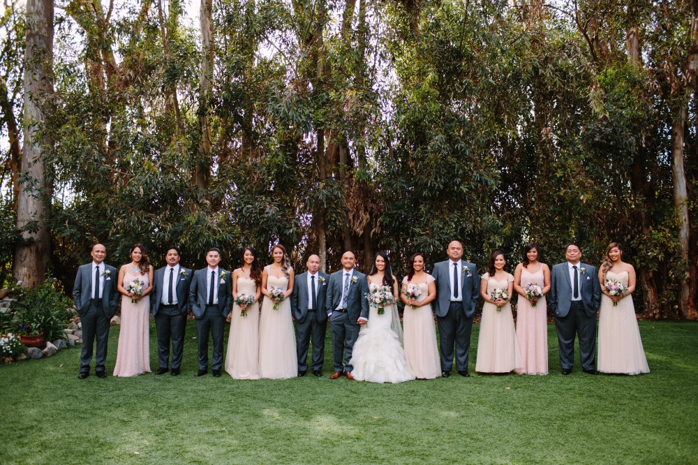 wedding-submission-from-shane-and