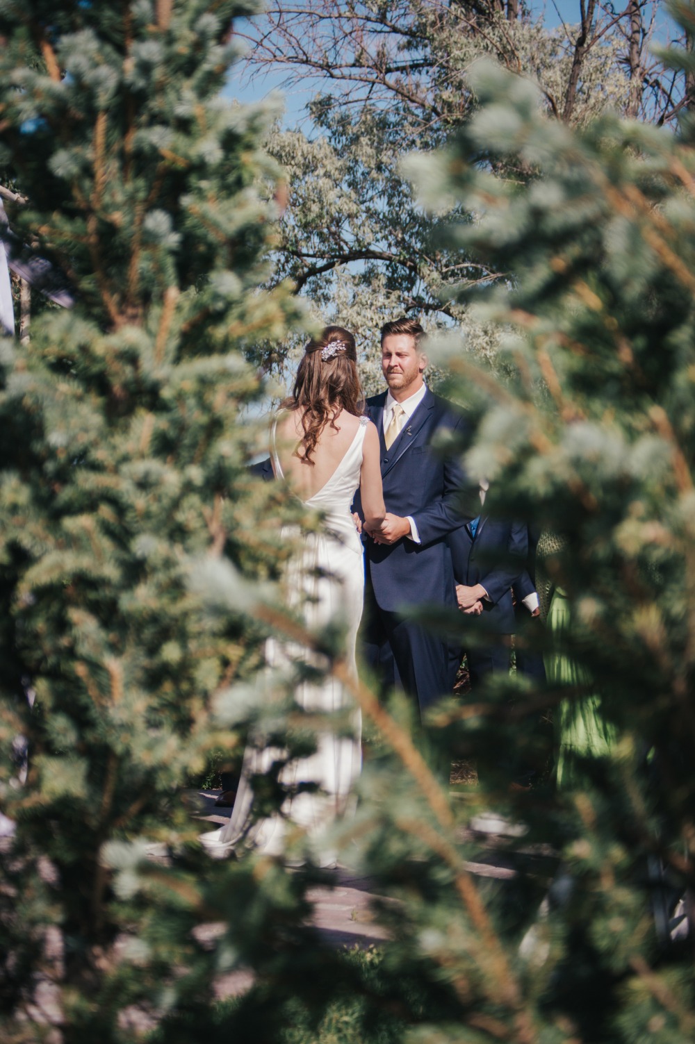 wedding-submission-from-taylor-english