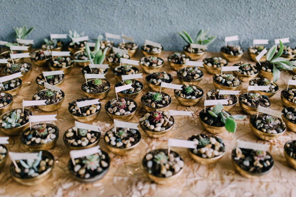 mini succulent wedding favors