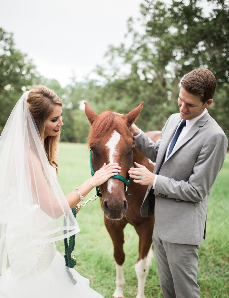 wedding horse stealing the show