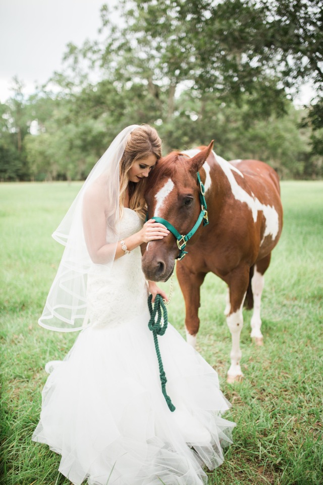 bride and wedding horse
