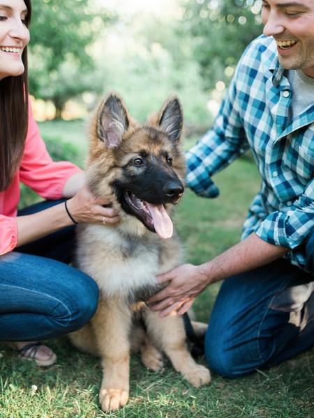 Heather and Tim's Engagement Story Complete with A Puppy Announcement