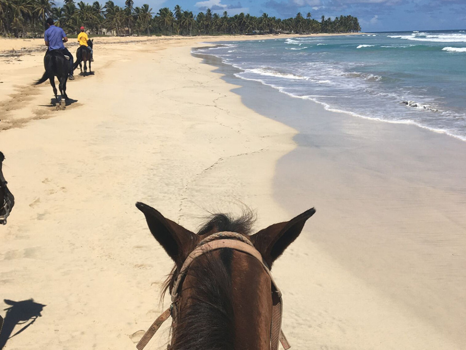 Horseback riding on a pristine beach