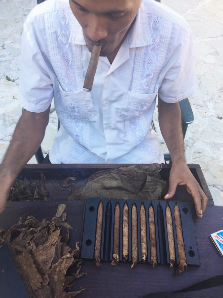 Man smoking hand rolled cigars with tobacco leaves