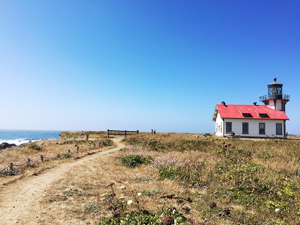Scenic coastal path leading to a charming red-roofed lighthouse