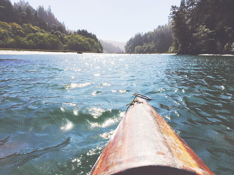 Kayaking through serene river, surrounded by lush green trees