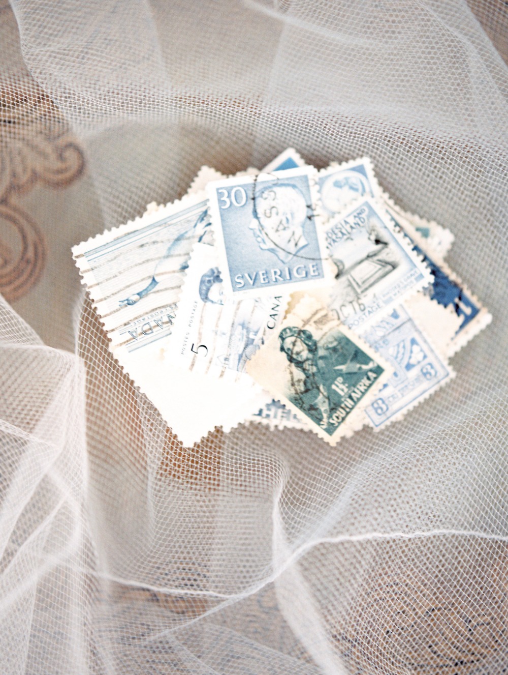 wedding-submission-from-alicia-lacey