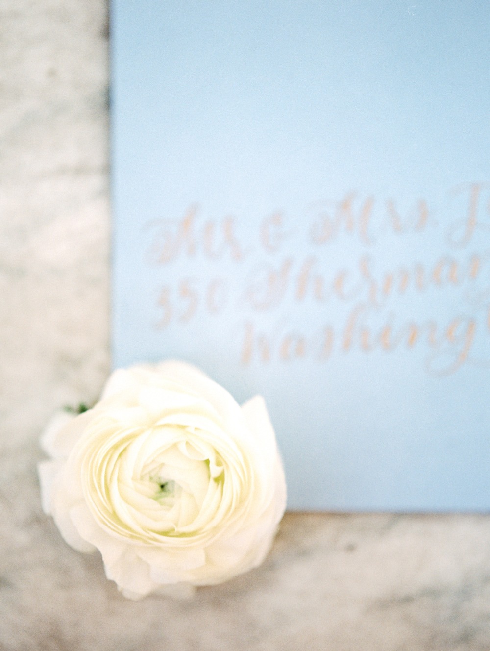 wedding-submission-from-alicia-lacey