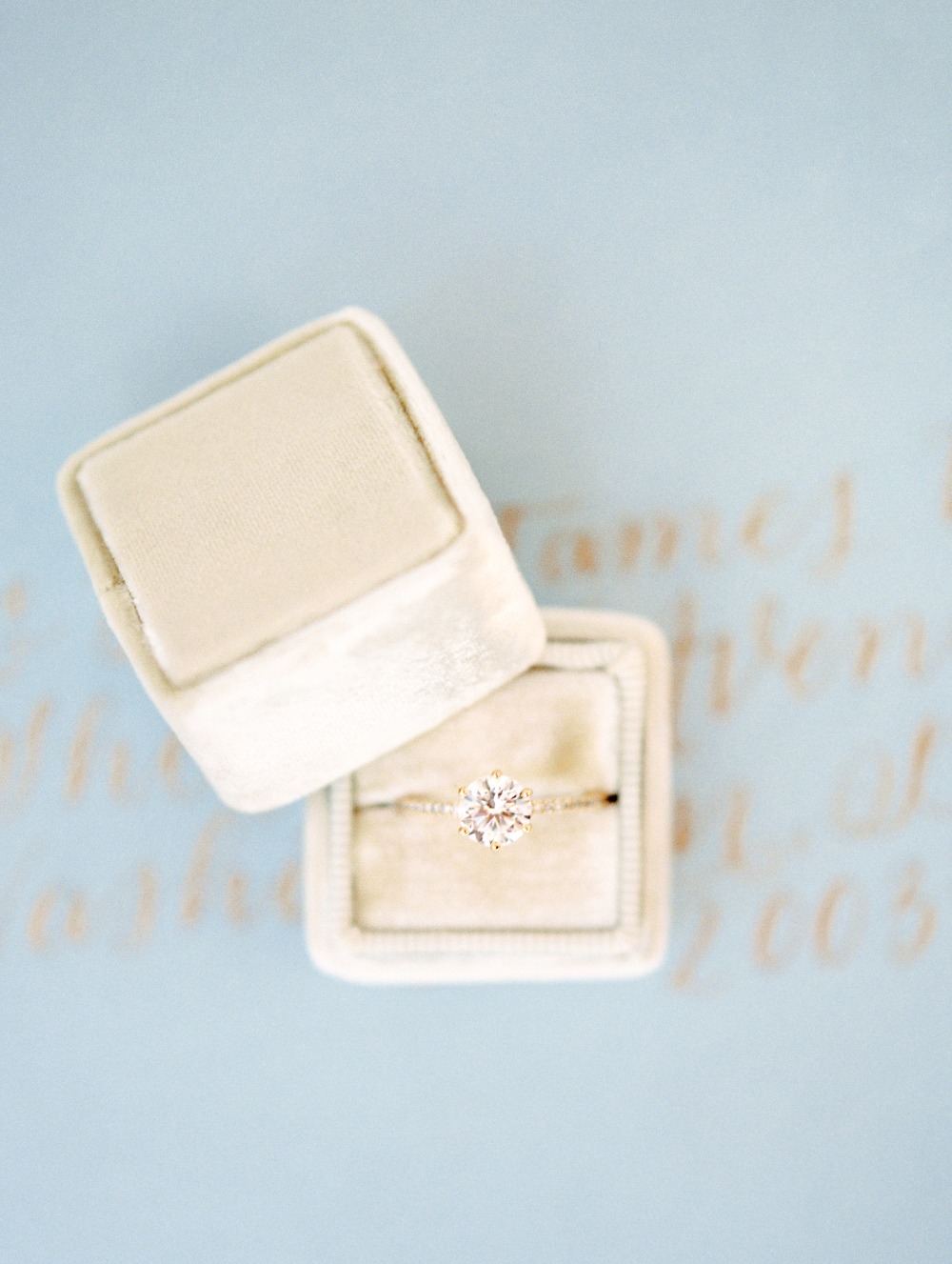 wedding-submission-from-alicia-lacey