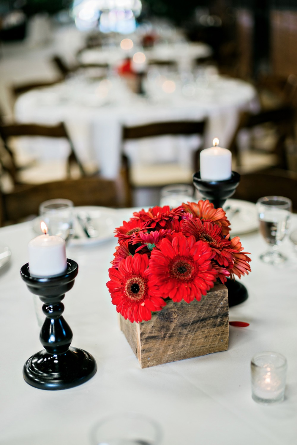wedding-submission-from-andie-freeman