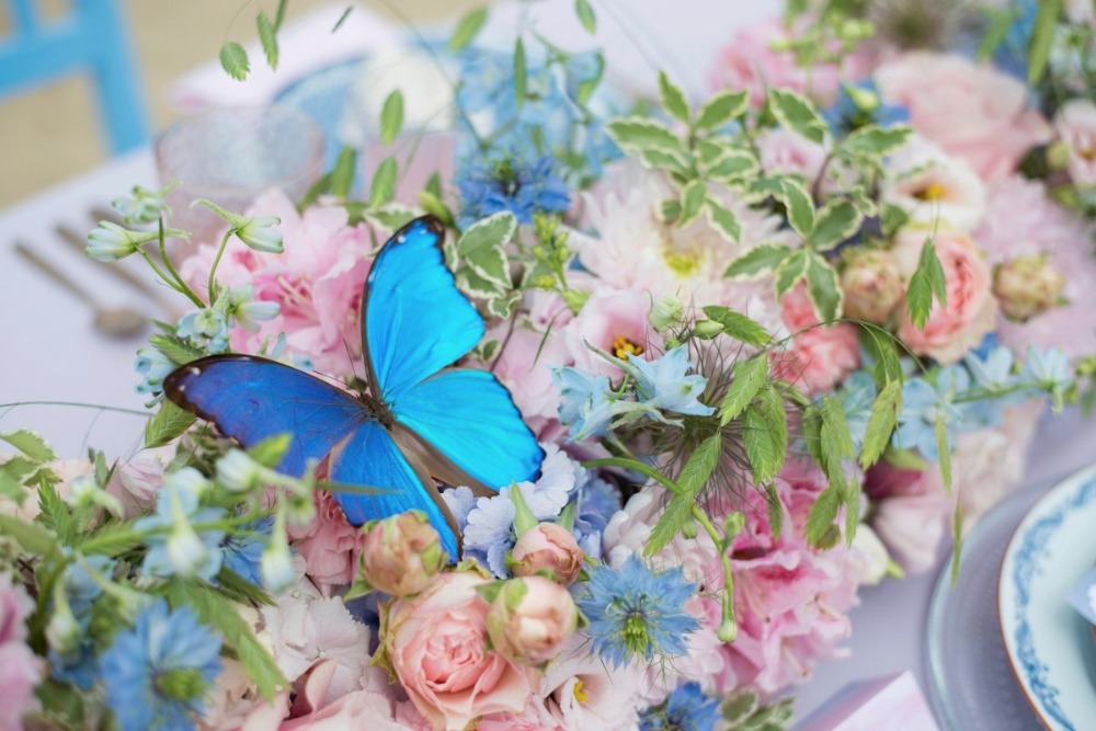 wedding-submission-from-blik-en-bloos