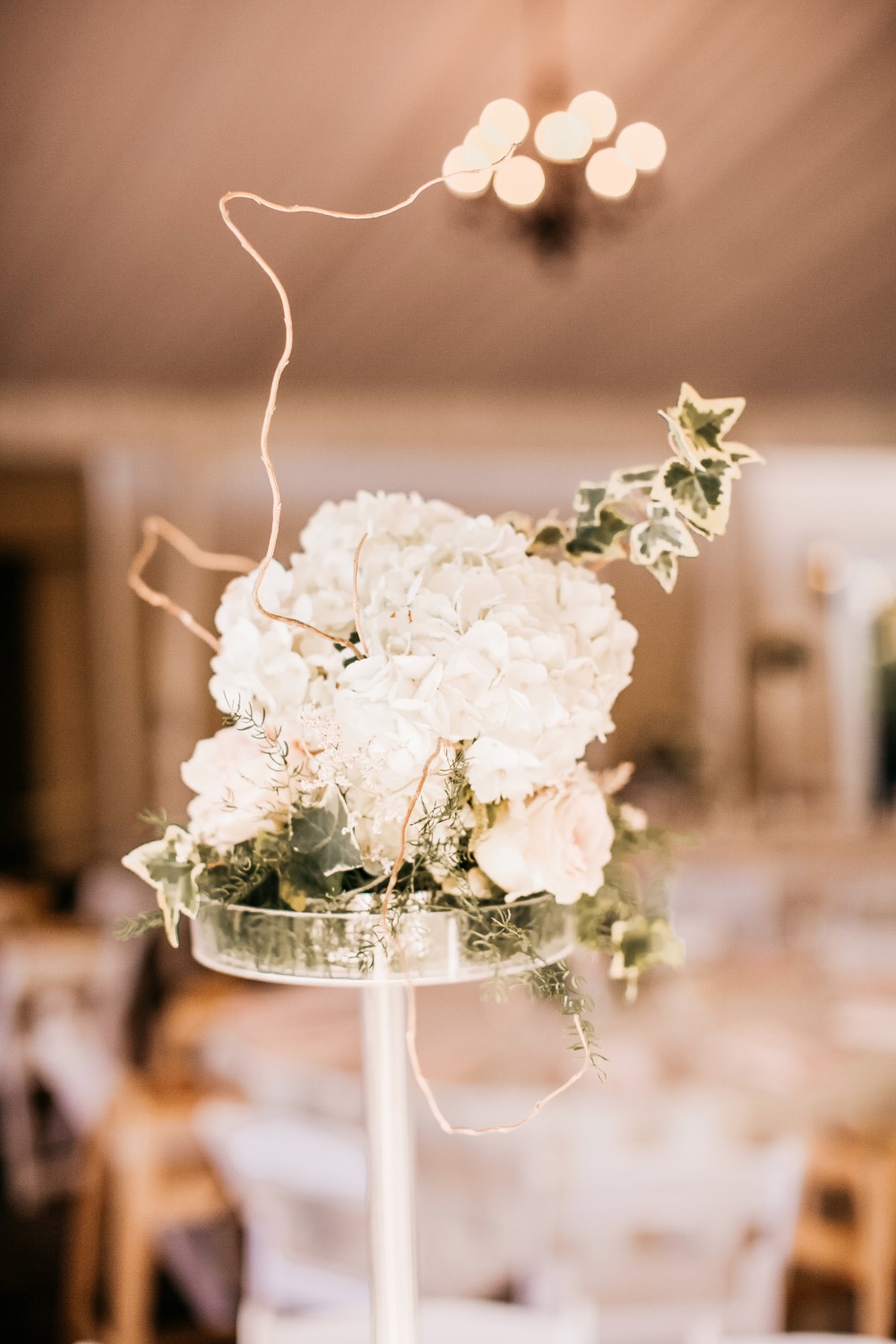 wedding-submission-from-catie-coyle