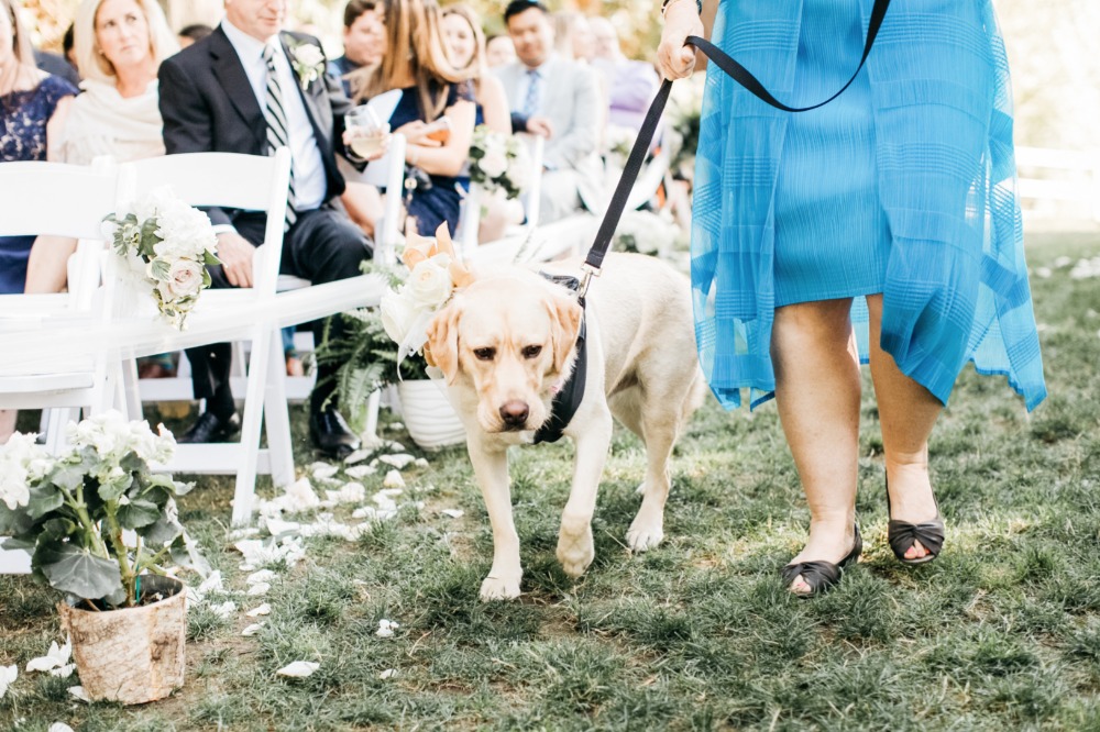 wedding-submission-from-catie-coyle