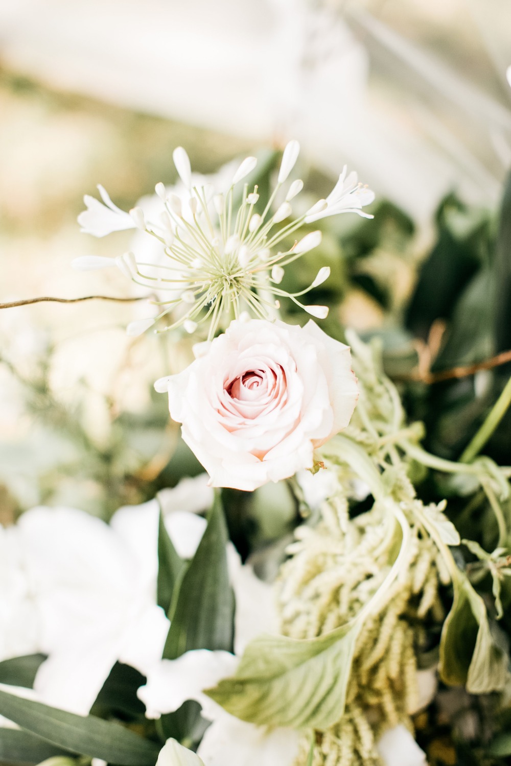 wedding-submission-from-catie-coyle