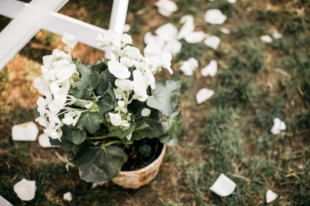wedding-submission-from-catie-coyle