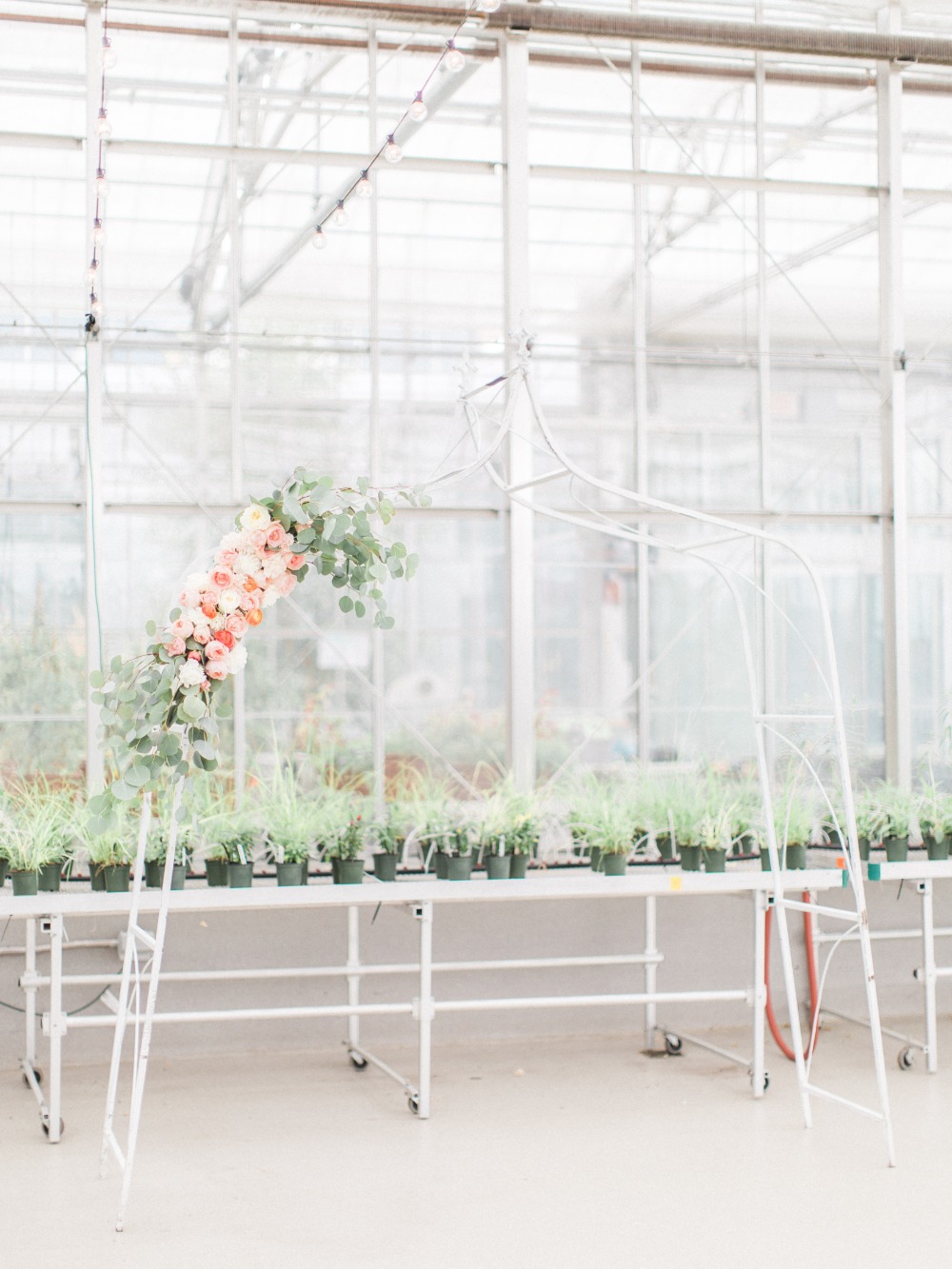 wedding-submission-from-forever-and-a