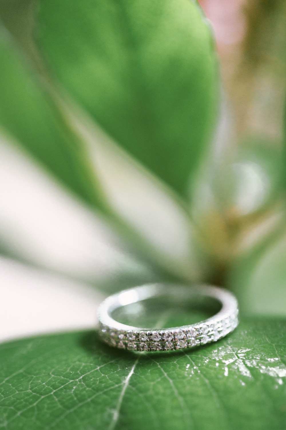 wedding-submission-from-jane-ferrell
