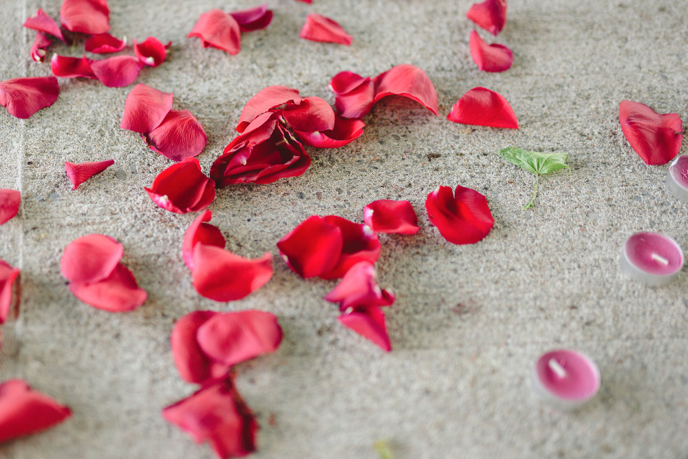 rose petals and candles for a proposal
