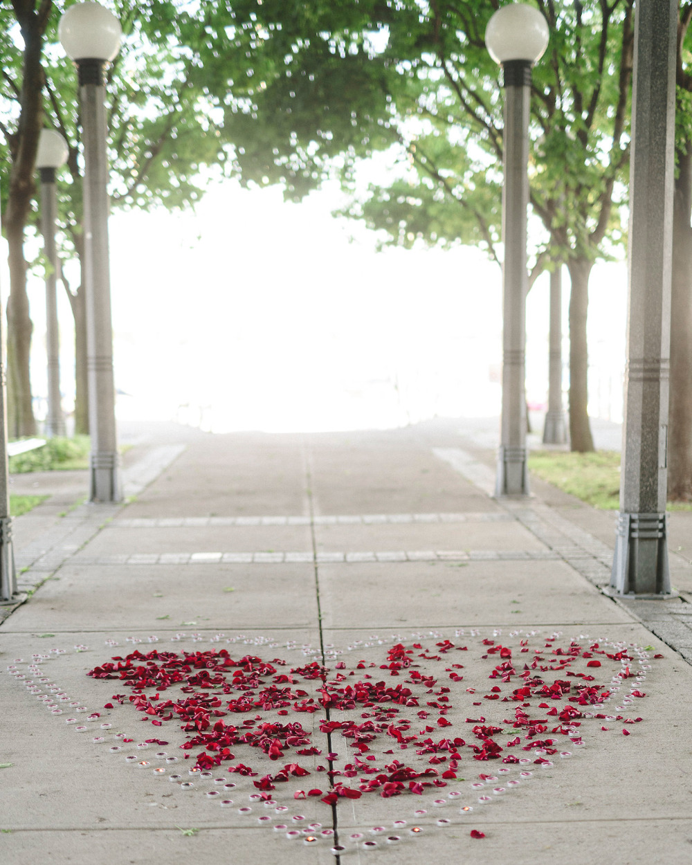 candle and rose petal proposal