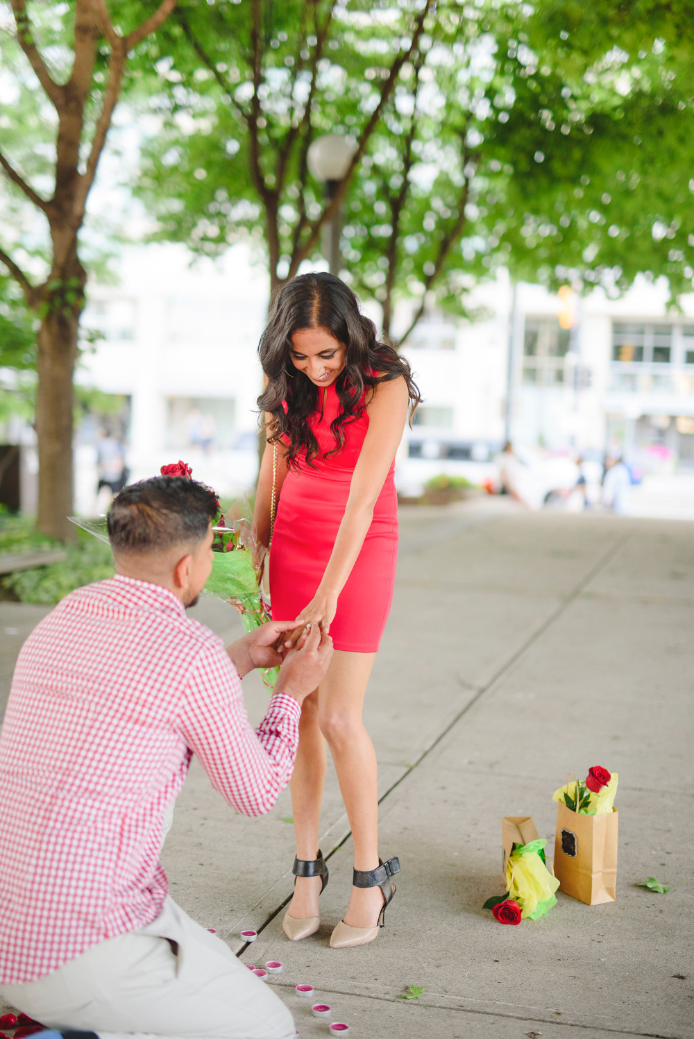 proposal at Toronto Music Gardens