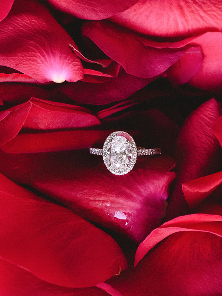 Romantic Proposal At Toronto Music Gardens