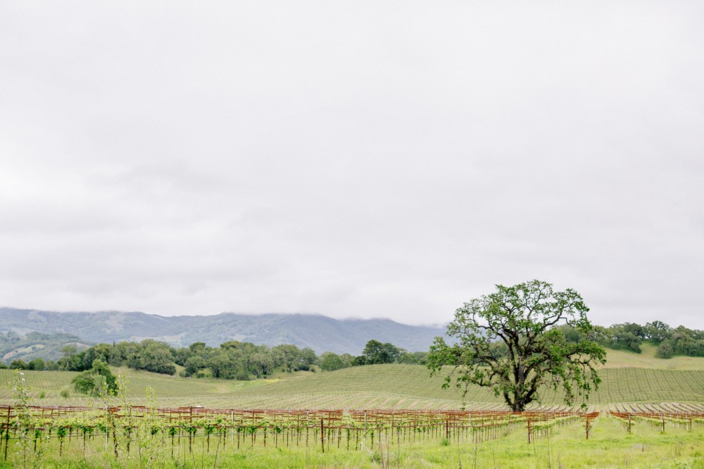 wedding-submission-from-larissa