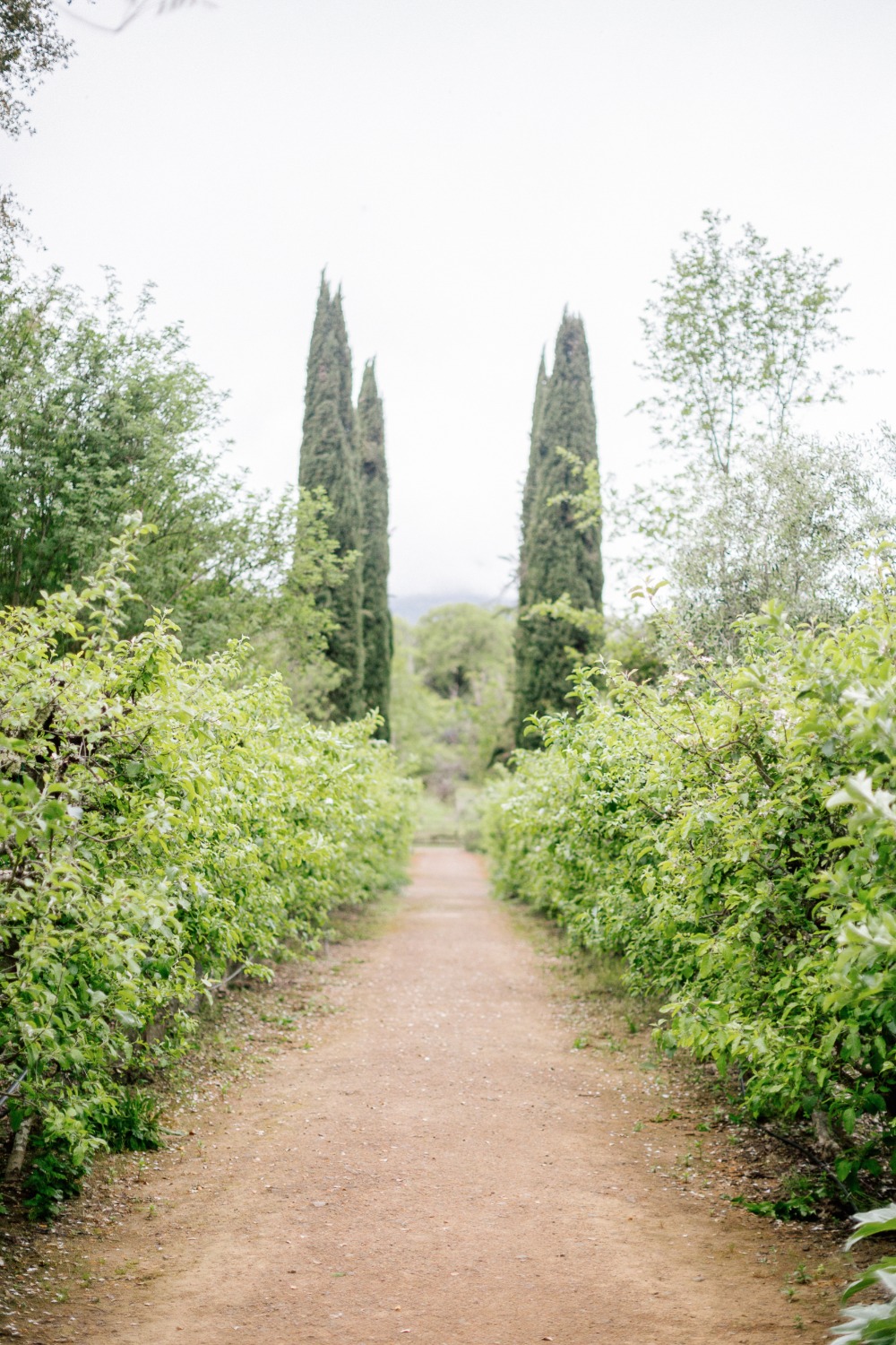 wedding-submission-from-larissa