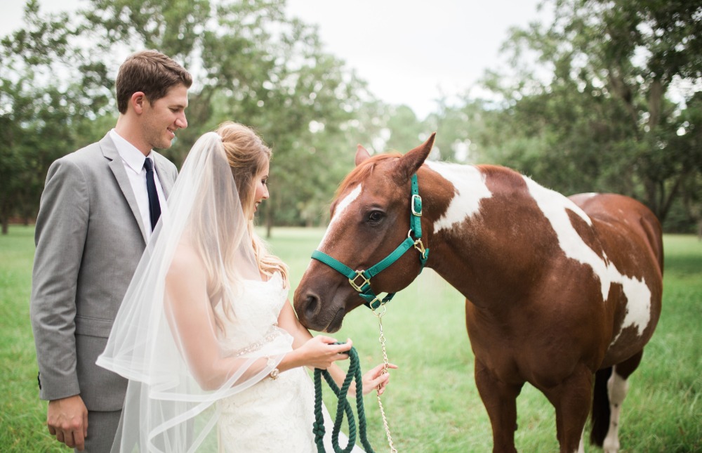 wedding-submission-from-mandee