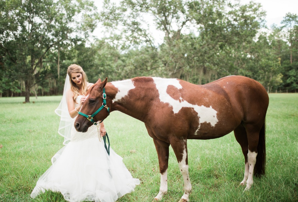wedding-submission-from-mandee