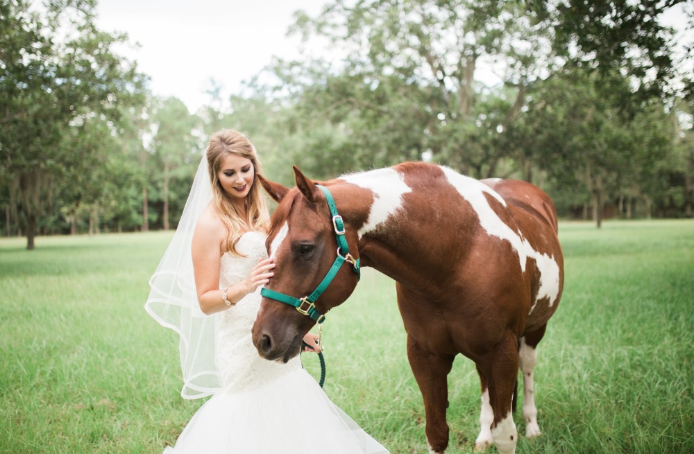 wedding-submission-from-mandee