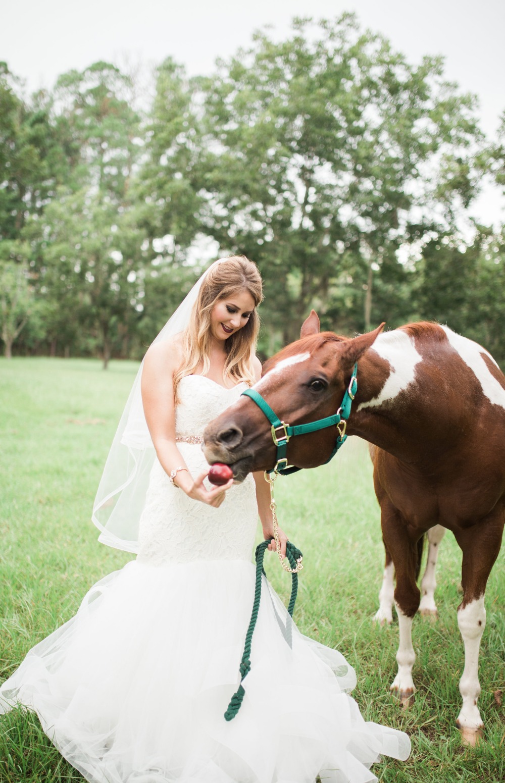 wedding-submission-from-mandee