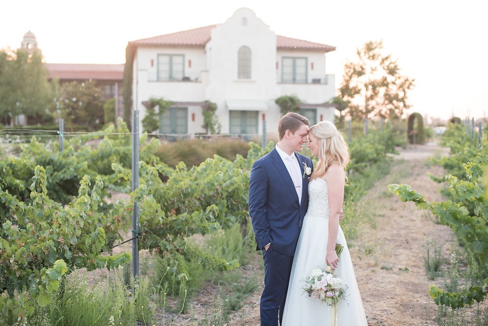wedding photos amongst the grape vines at Ponte Winery