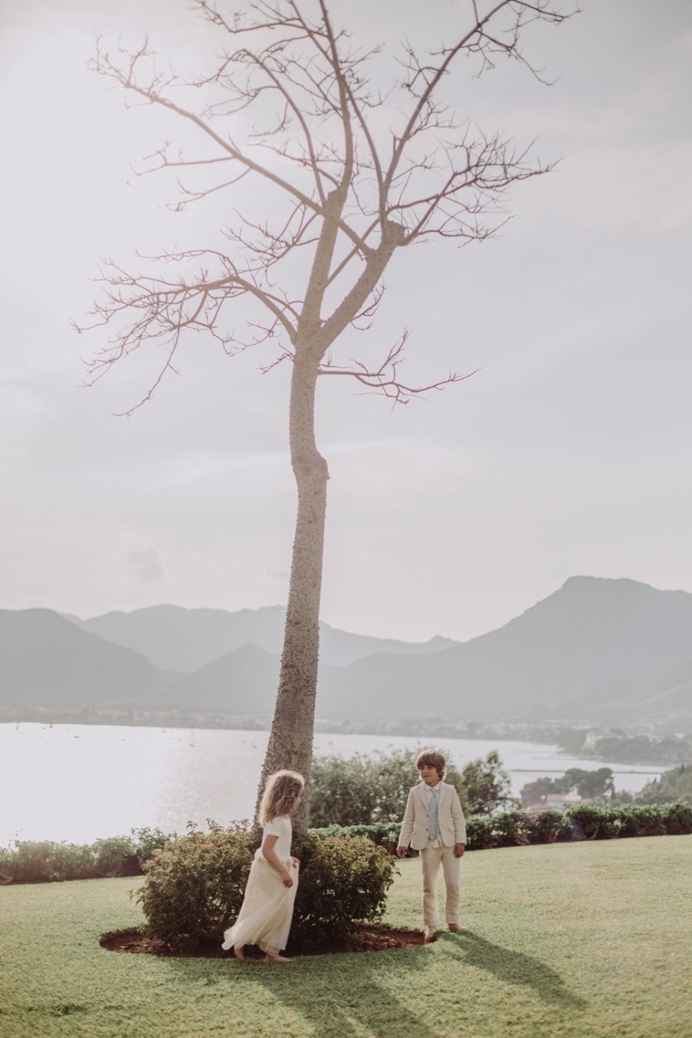 wedding-submission-from-mille-papillons