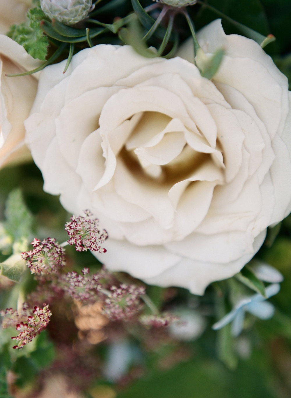 wedding-submission-from-misty-saves