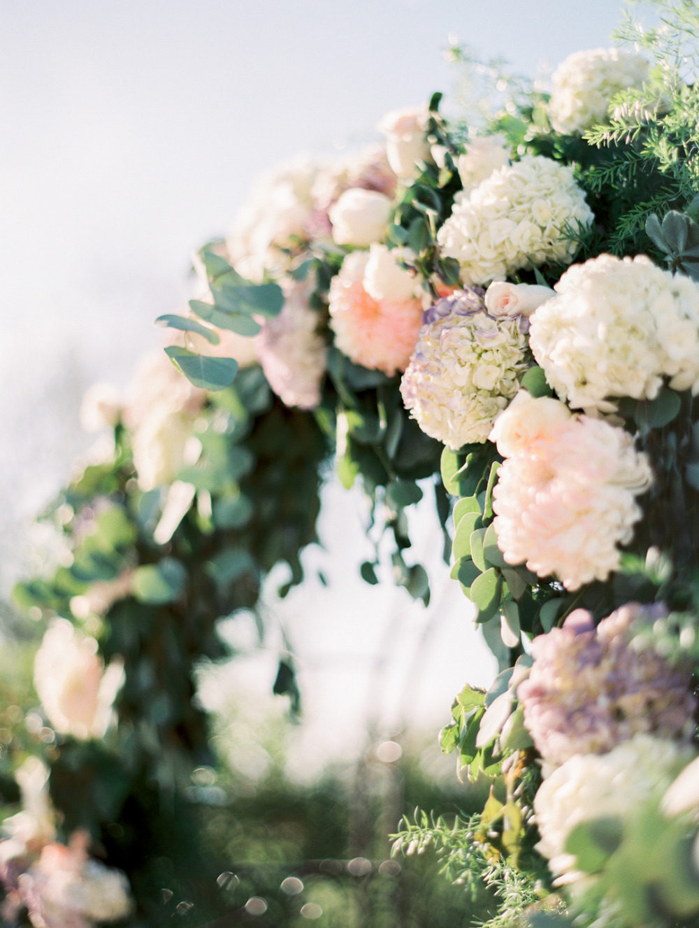 wedding-submission-from-rachel-solomon