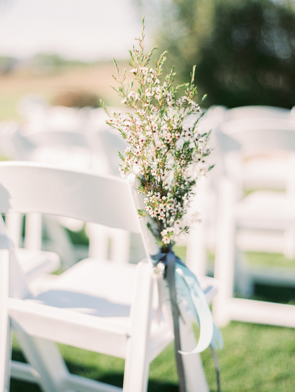 wedding-submission-from-rachel-solomon