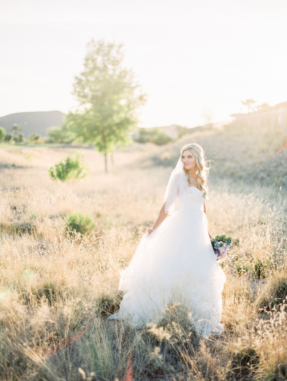 wedding-submission-from-rachel-solomon