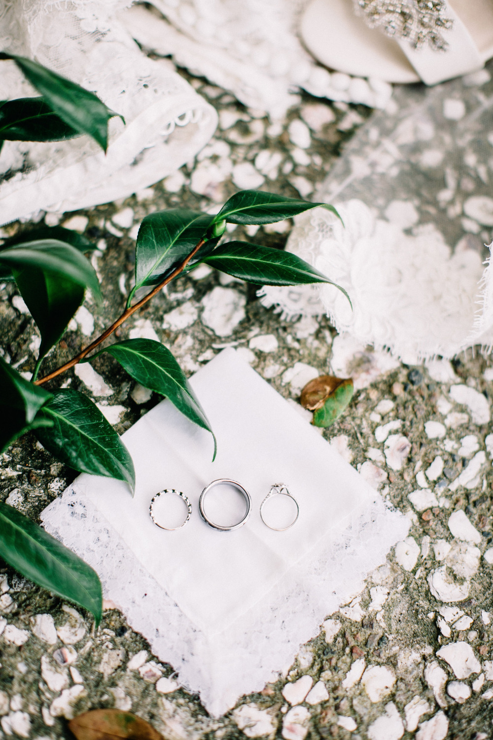 wedding-submission-from-sara-bee