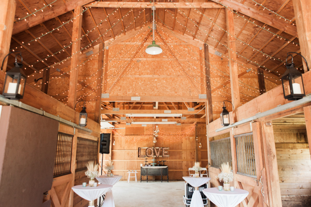 wedding-submission-from-tamara-jaros