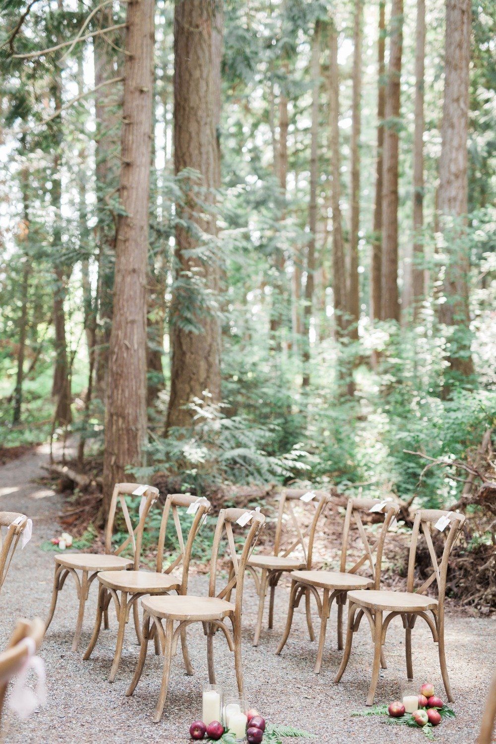 wedding-submission-from-trend-decor