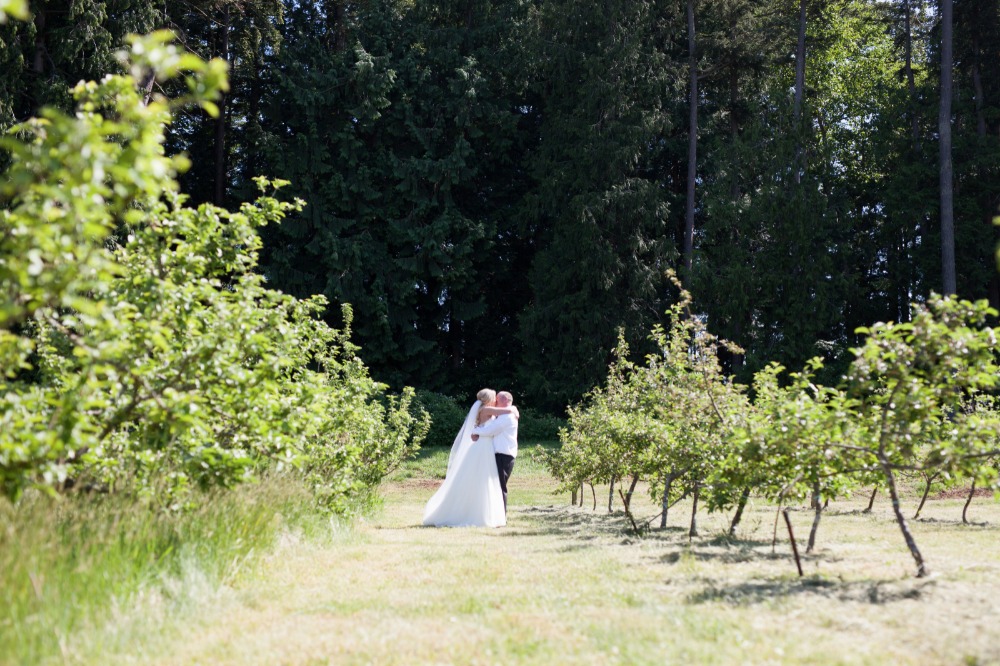 wedding-submission-from-trend-decor