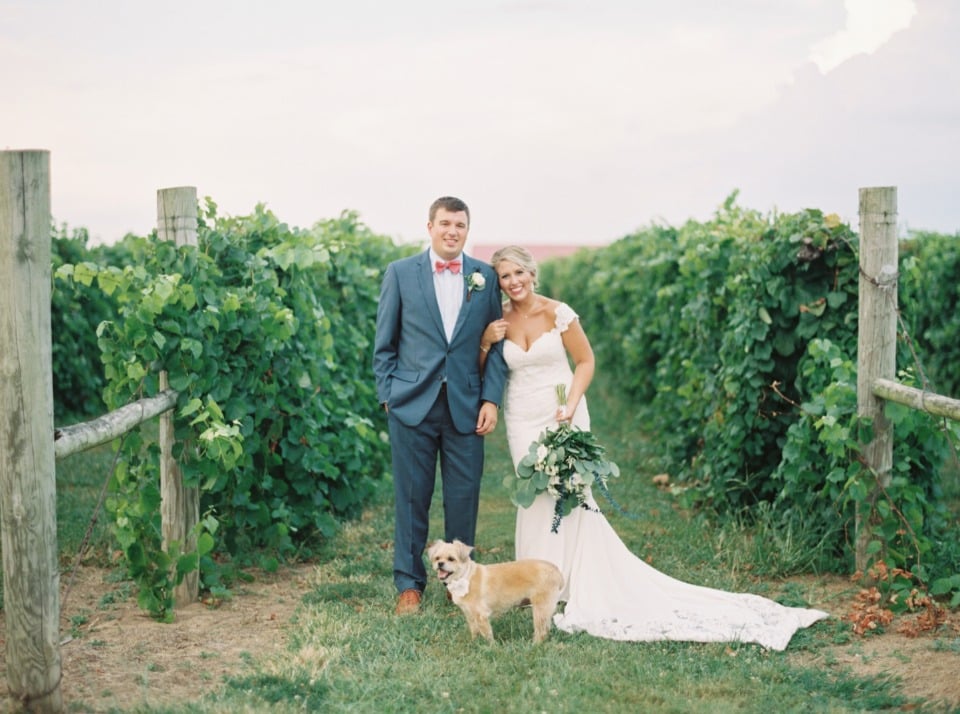 winery wedding couple and pup