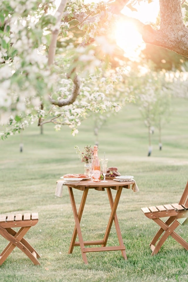 Cute outdoor lunch for two to celebrate the engagement