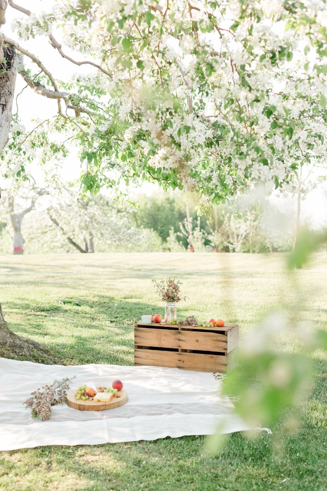 Simple and easy outdoor picnic for your surprise engagement